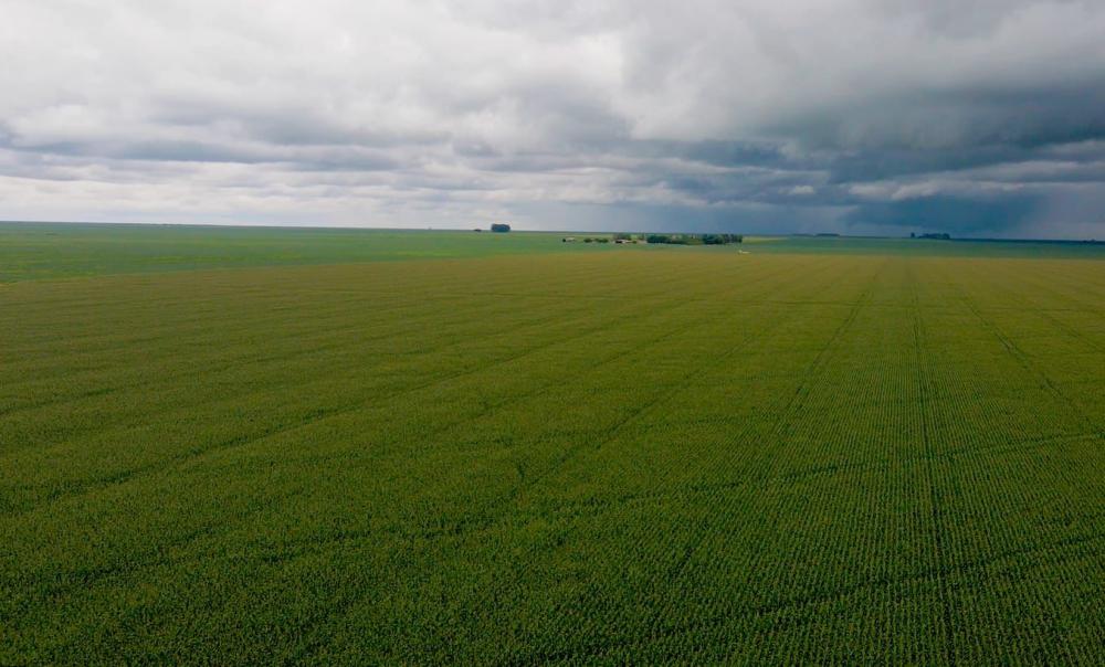 Plantio da safra de soja no Oeste da Bahia alcança 1,9 milhão de hectares e está na reta final