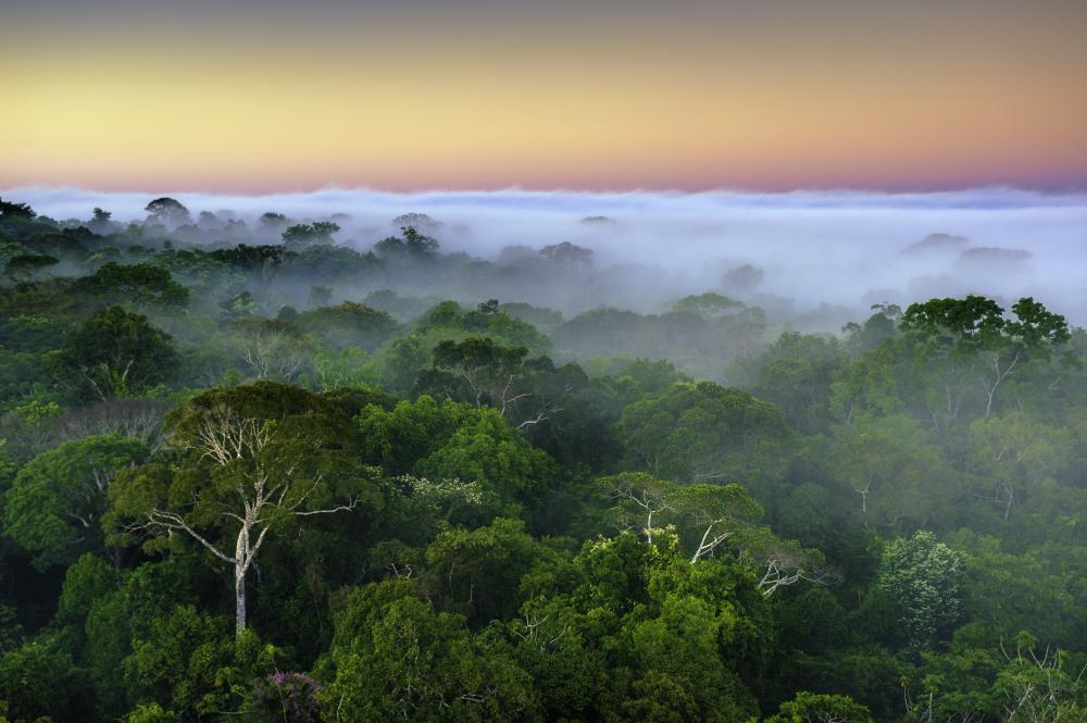 Foto: Divulgação 